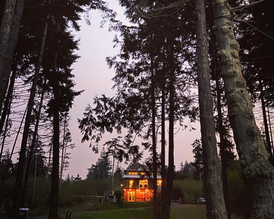 small house in a forest, lit from within