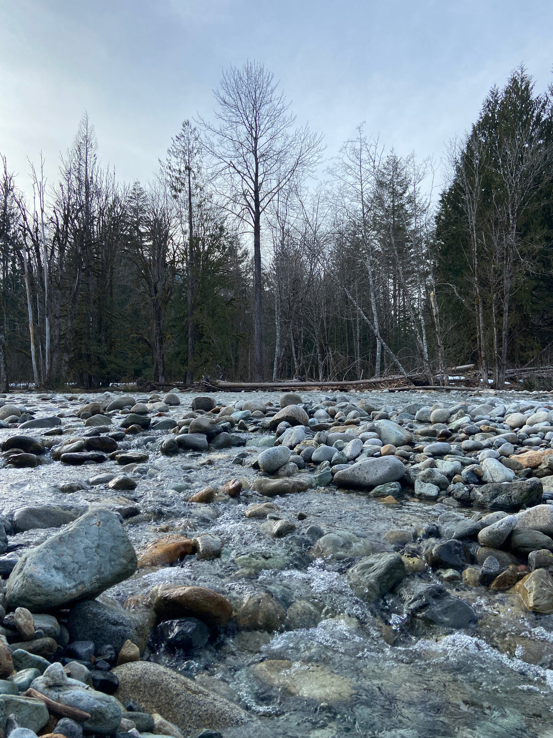 View of Skykomish River, river rocks, winter